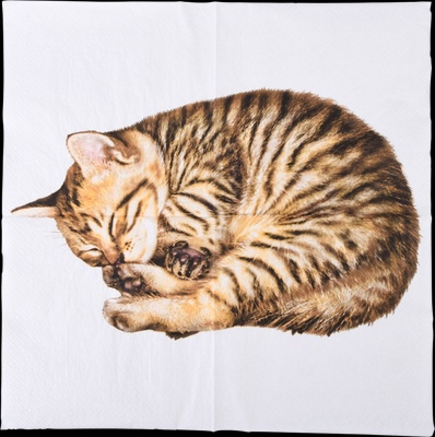 Servilleta Papel Gato 33x33 20 unidades